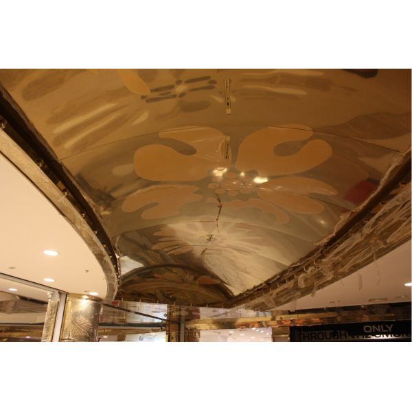 Строительство фасадов из нержавеющей стали Инженерство, Консалтинг по металлургическим потолкам