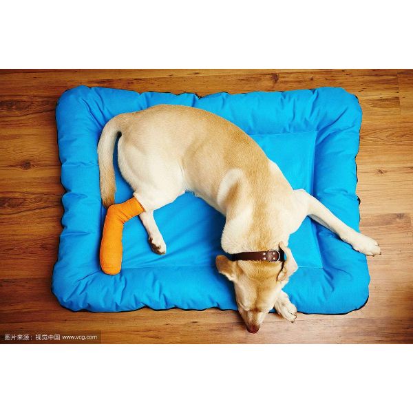 Фиксация Здоровье животных Производитель сплоченный повязка с узором оберток вет гибкий самоклеющийся