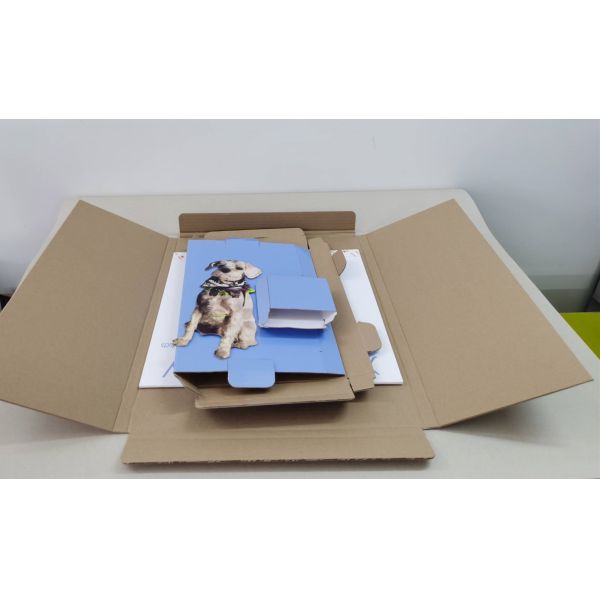 Визуально эффектный дисплей счетчика картона любимца собаки настольный легкий для того чтобы собрать