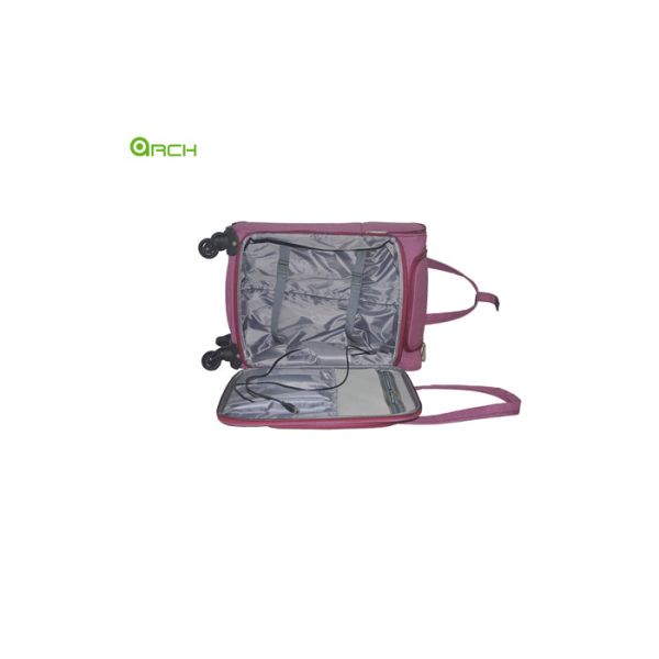 Snowflake 20 Inch Carry On Luggage With Spinner Wheels