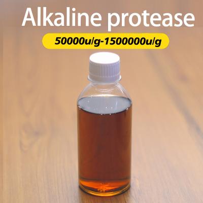 200000 u/g Protéase dans les détergents de linge Préparation d'enzymes de lavage