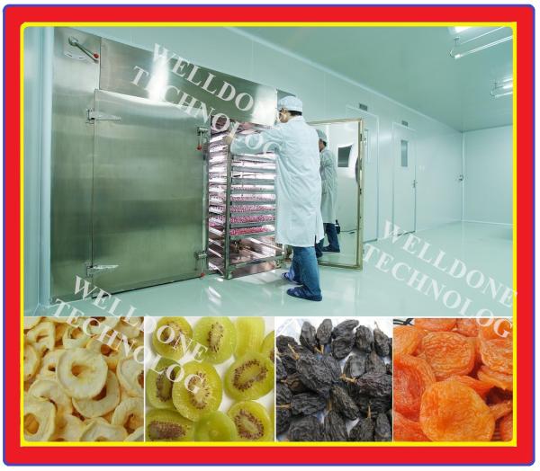 SUS304 forçou - areje forno de secagem, máquina conveniente do secador do fruto da limpeza