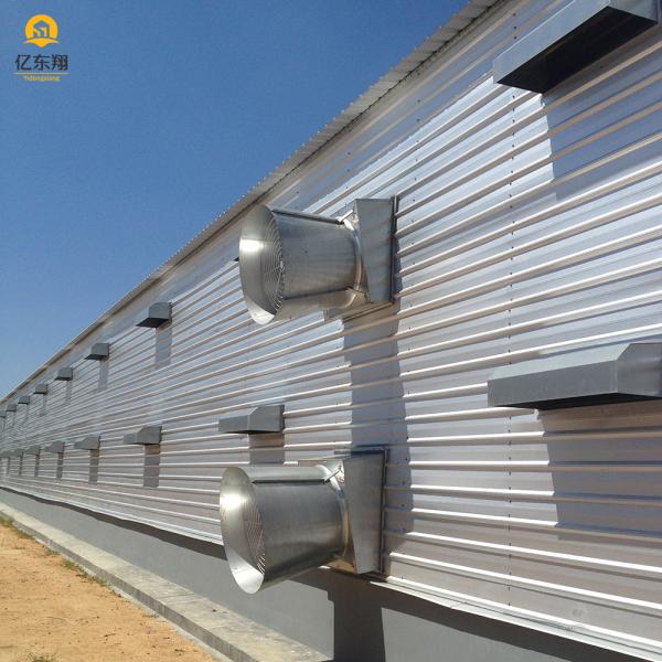 Galvanized Steel Structure Poultry House for 20 Chickens