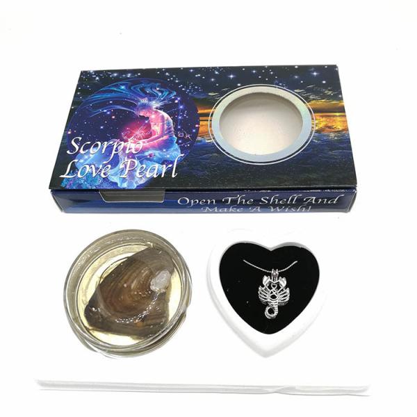 12 Horoscope Zodiac Love Wish Pearl Necklace Gift Set with Scorpio Cage Pendant  Innovative Birthday Gift