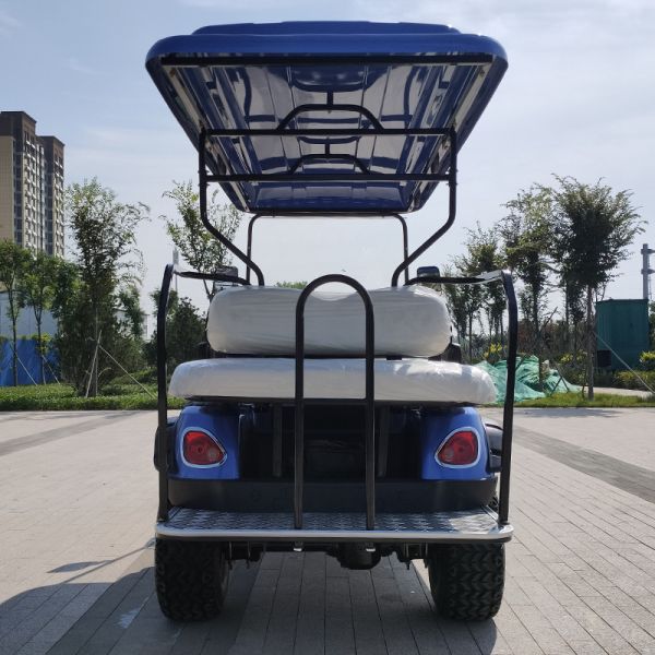 Importación de vehículos eléctricos básicos 4 + 2 asientos 12 pulgadas neumático de golf carro eléctrico a bordo Tipo de origen de carga