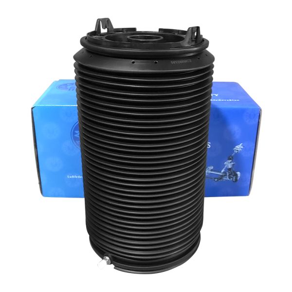 Rear Air Suspension Springs Bellow Fits Ford Tourneo Custom GK21-5A891-BC GK215A891BC