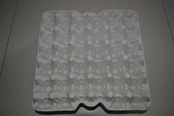 RL - ZJM Paper Egg Tray Machine With 2 Years Warranty , Energy Saving