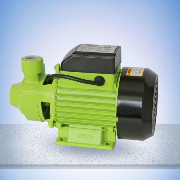 Cast Iron Head 60L/Min 1HP Peripheral Pump，The max head and flow support highly