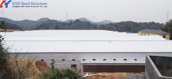Custom Prefabricated Steel Poultry House for 15000 Broiler Birds