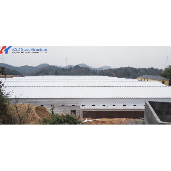 Galvanized Steel Structure Poultry House with Automatic Feeding System