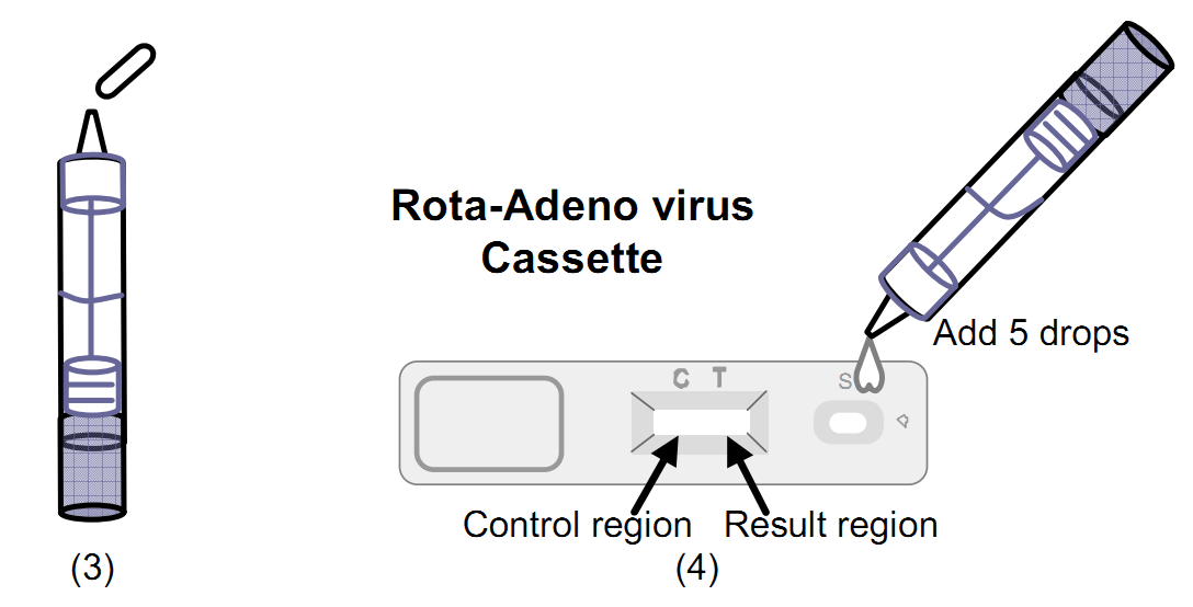 Набора анализа крови аденовируса формат 99% Аккруаси прокладки комбинированного фекального быстрый диагностический