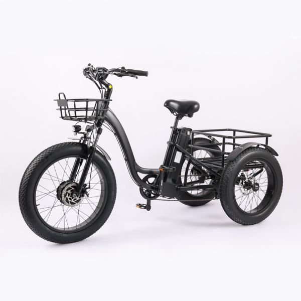 High Capacity Family Cargo Bike with Torque 80-90 Nm and Rear Carrier Battery Position