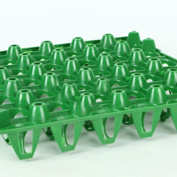 волдырь красочного трудного желтого ЛЮБИМЦА 297mm пластиковый упаковывая пластиковый поднос яйца 150g