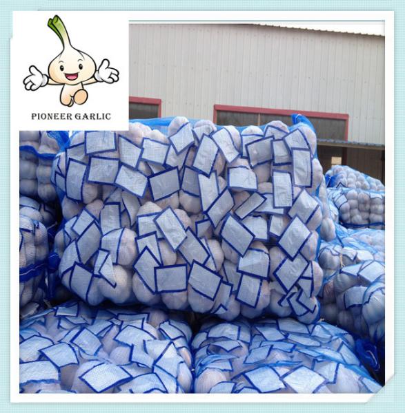 garlic fresh garlic 500G*20bag white garlic china supplier chinese fresh garlic