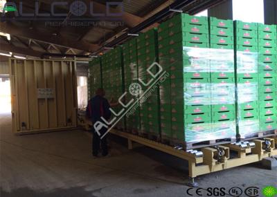 Vácuo do cogumelo - equipamento refrigerando