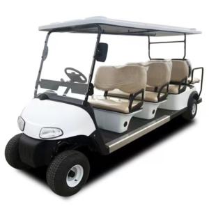 Chariot de golf électrique de limousine de voiture de club d'ODM boguet 100Ah de