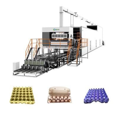 Máquina de fabricação de bandejas de ovos de pasta de papel totalmente automática 5000 PCS/Hora