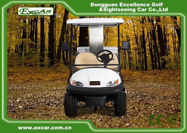 Curtis Controller 2 Person Mini Electric Utility Carts Higher Driving Ability