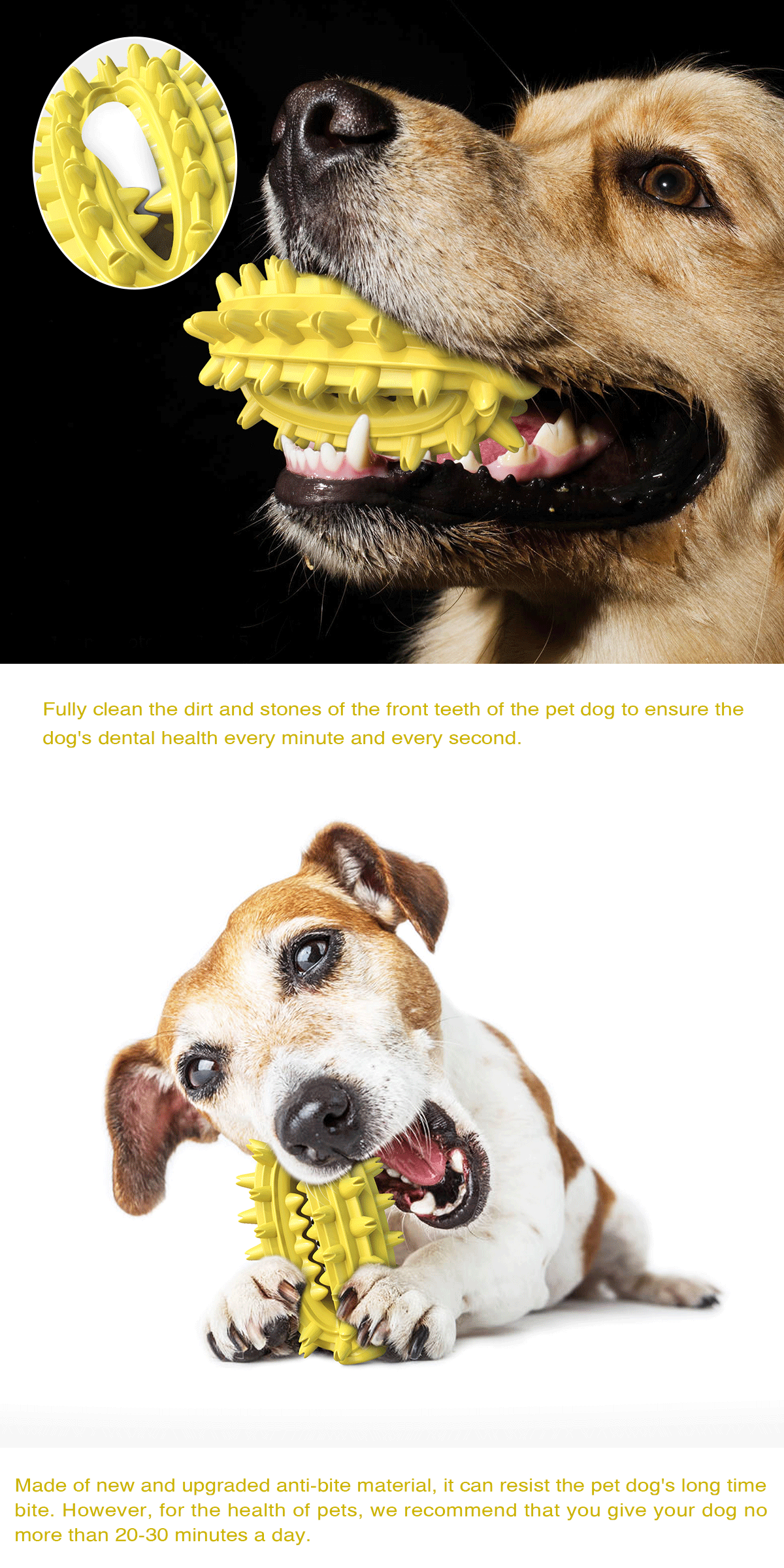 Dog Toothbrush Molars Stick 15cm Cactus Dog Bite Toys