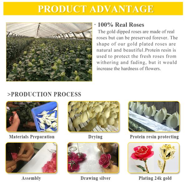24 Karat Gold Dipped  Rose  Long Artificial Golden Covered Roses  for Graduation ,Christmas, Valentine's Day ,wedding Gift