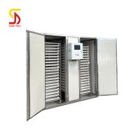 Horno industrial deshidratador industrial de acero inoxidable 316, 150 kg/h, multifuncional para rodajas de plátano