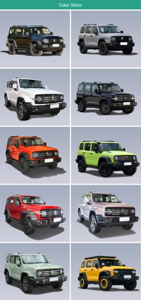 2024 Great Wall 300 2.0T gasolina Euro VI 4WD 227Ps 167kW 387Nm SUV compacto con eficiencia de combustible y potencia