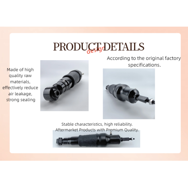 E6210-5ZW0A Rear Air Suspension Shock Infiniti QX56 QX80 Nissan Armada
