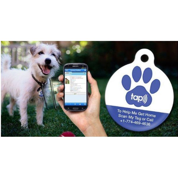 NFC Animal ID Tags RFID Pet Key Ring UV CMYK Printing With  213 215 Chip