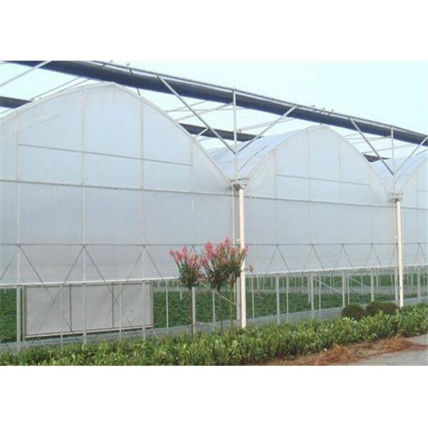 Eco Friendly Plastic Garden Greenhouse Galvanized Steel Tube Frame Structure
