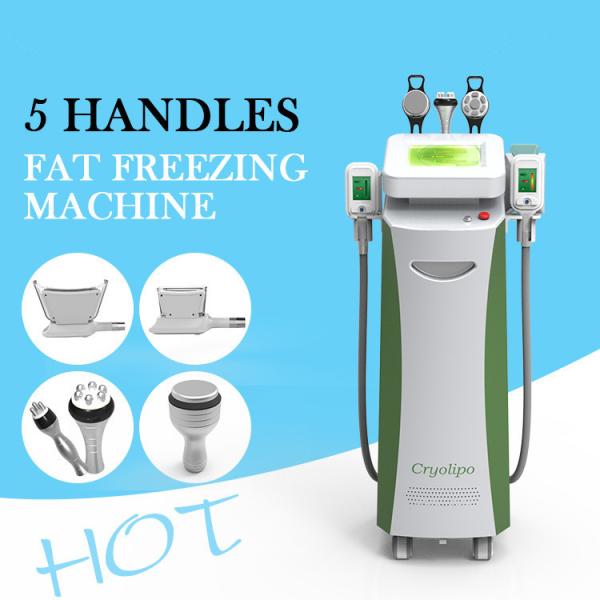 CE approved 0.1 Celsius adjustable 3 cryo handles fat reduction cryolipolysis freeze slimming machine