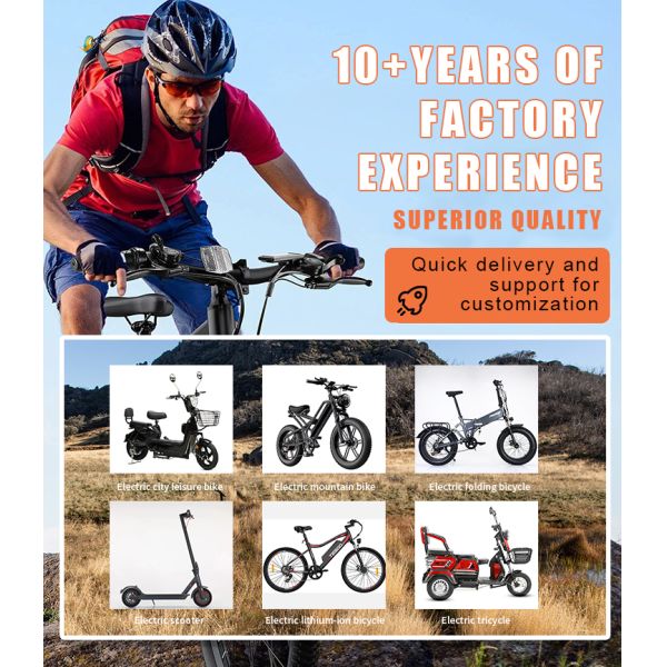 Electric E Bike 48V 350W 10.4AH Long Range E Cycle Bicycle with Integrated Battery