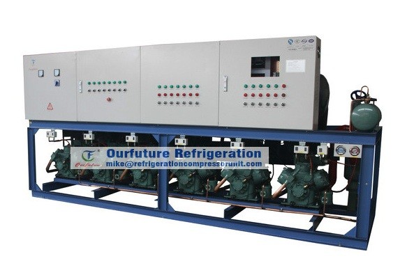 Cold Room Compressor Unit For Seed Processing with R404a 30HP*3 piston