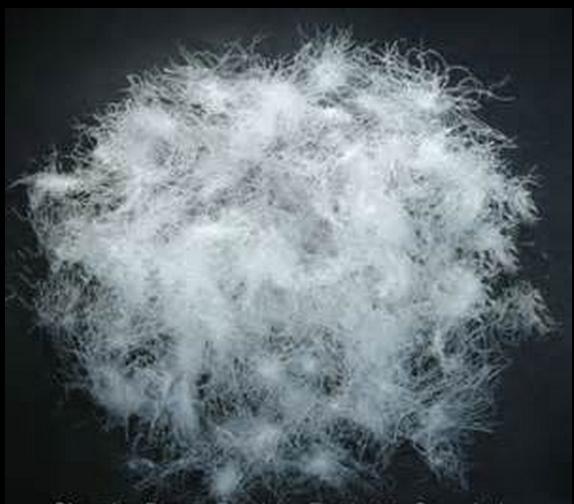 Lujiang Homchang Down and Feather Manufacture Co., Ltd, Duck Down Products
