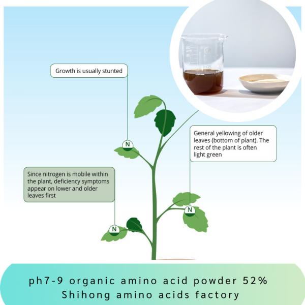 O adubo do ácido aminado Ph7-9 pulveriza 52% alcalino nenhum endurecimento solúvel em água