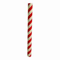 La bande d'illumination rouge brille dans l'obscurité Les bandes lumineuses Vinyl 60cm