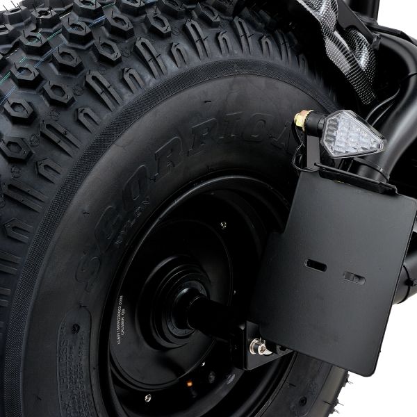 Electric Scooter Citycoco Fat Tire 1500W 2*1500W 60V Foldable Long Range with EEC COC