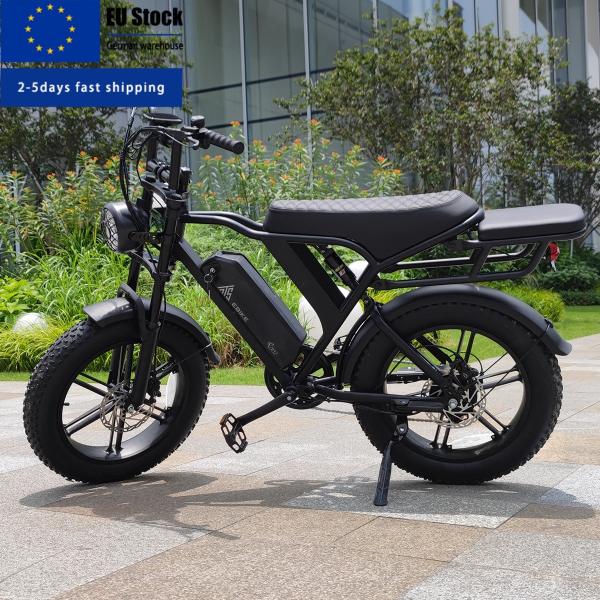 Best Price 250w 500W 750w 1000W Fatbike Electric Bike 250w 48V Lithium Battery E-bike EU Stock