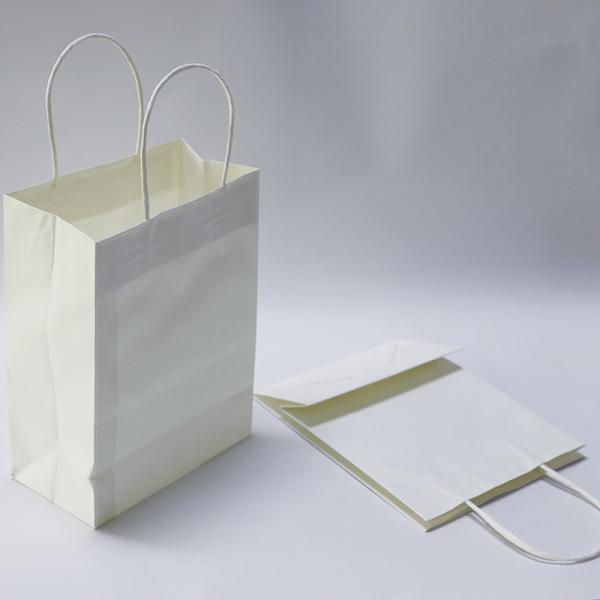 5kg Printed Paper Carrier Bags