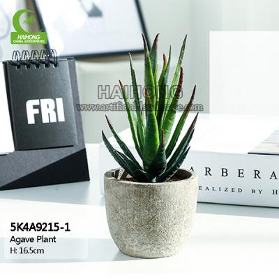 16.5cm Mini Artificial Succulents