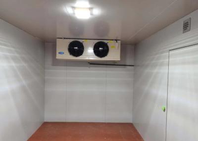 A sala fria do congelador SS314 personalizou o refrigerador 2*2*2.8M do armazenamento frio