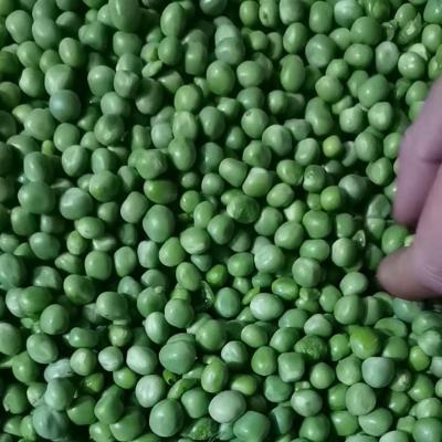 fresh pea pod removing machine, pea peeling machine, pea shelling machine
