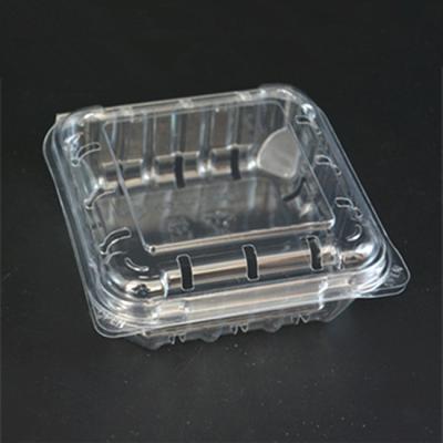 105mm Vegetable Packaging Plastic Box PET Food Packaging Clamshell For Blueberry