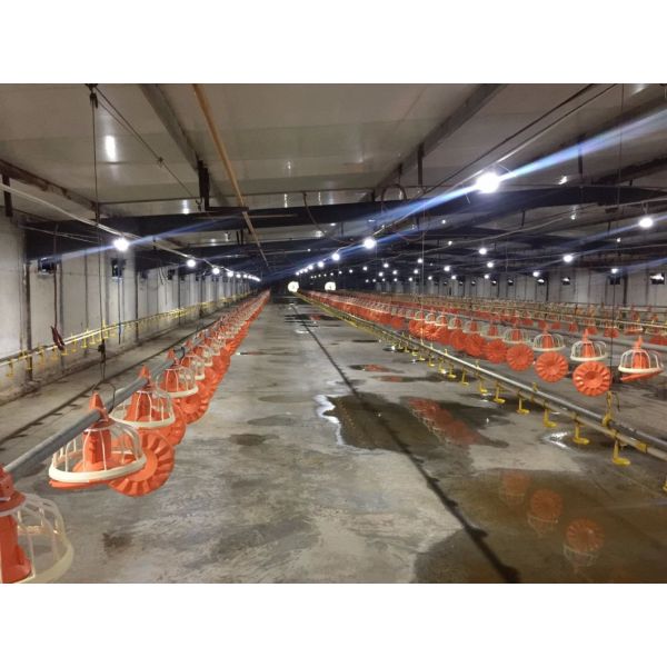 Aluminum Housing Square Poultry Farm Light for Broiler Chickens Growth