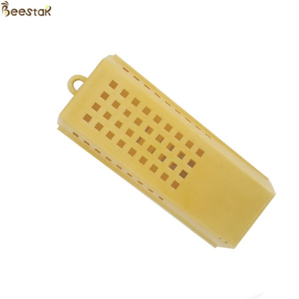 La Reine de l'apiculture élevant la reine des abeilles en bambou et en plastique élevant la cage