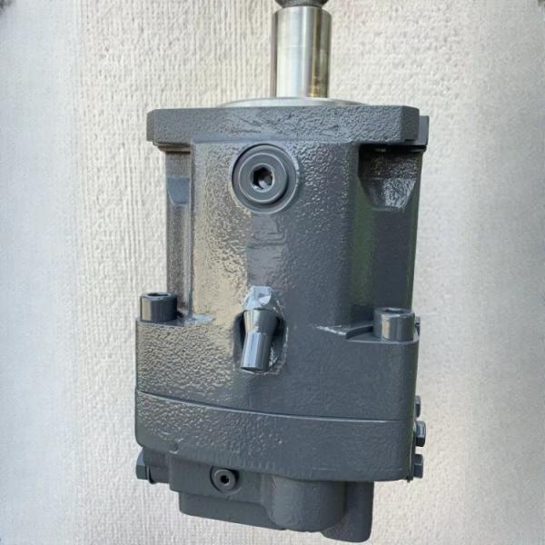 R902220992 A11VLO190DR/11R-NZD12N00 R902037420 A11VLO190DR/11R-NZD12N00 Pompes hydrauliques pour excavatrices de mines de charbon