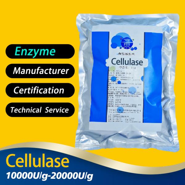 Brown 20000U/G Cellulase Enzyme Powder Strain Cultivation Bases