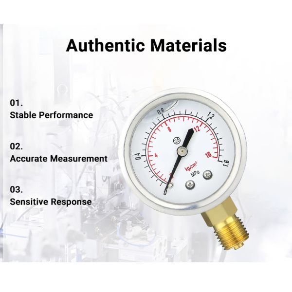 50mm Pressure Indicator Small Liquid Filled Pressure Gauge for Industrial Applications