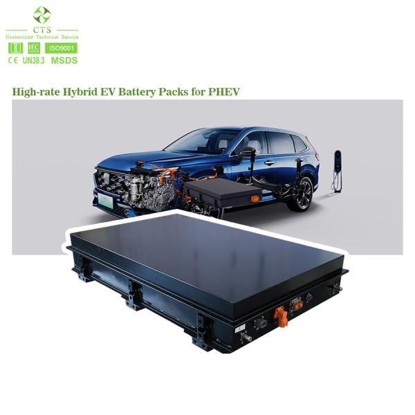 High Power Density Custom Lithium Ion Battery Pack Module for Electric Vehicles 336V 400V 500V