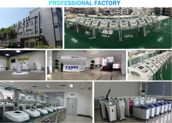 2017 newest design products supply OEM/ODM service Cryolipolysis Slimming (ICE SHAPING IV PRO)