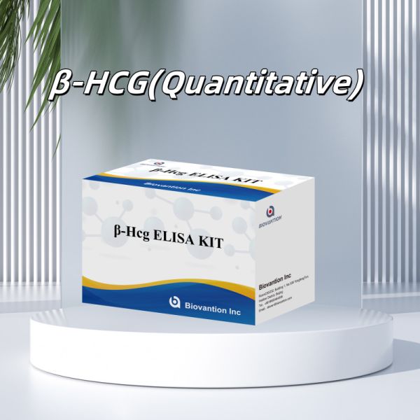 β-hCG(Quantitative) 1 Hour Elisa Test Kit For Antibody Sensitivity And Specificity